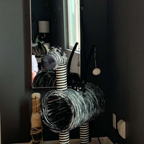 😃Hello there & Welcome...... - Picture 14 of 15